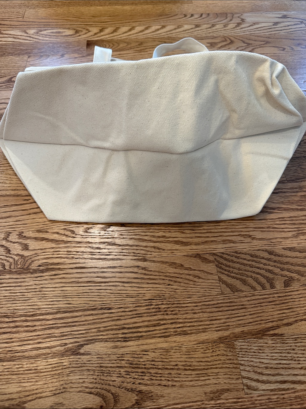 Soft Goat Cream Canvas Tote Bag Nwot — image 4 of 4